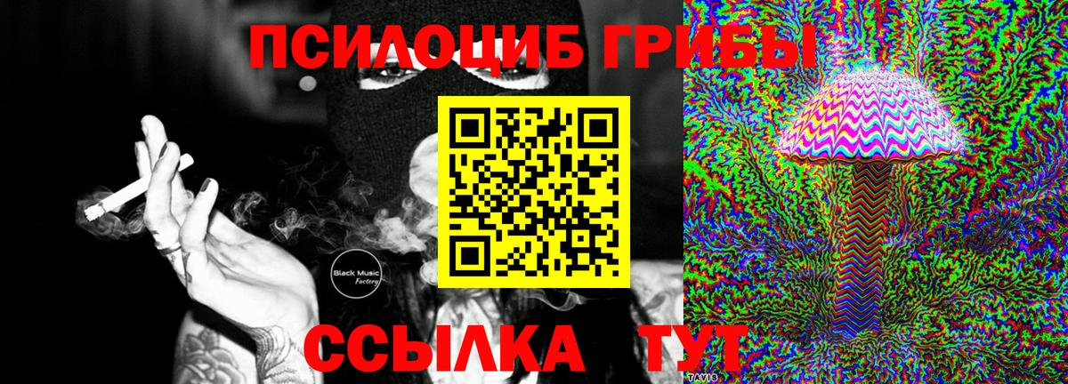Псилоцибиновые грибы Psilocybine cubensis Кулебаки