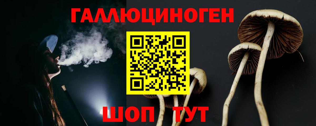 как найти   Галлюциногенные грибы MAGIC MUSHROOMS  Кулебаки  Вход с VPN  Галлюциногенные грибы мицелий 